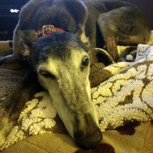 Meet your Posher, Layla